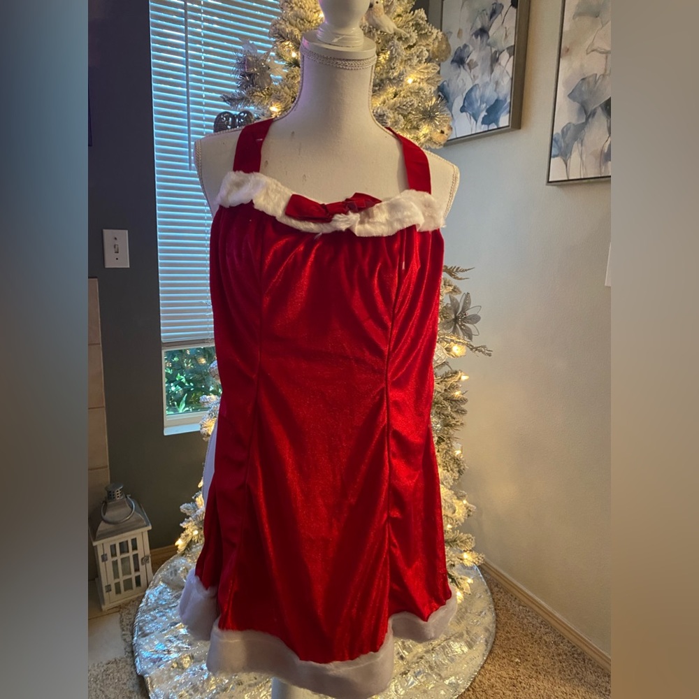 Leg Ave Xmas outfit